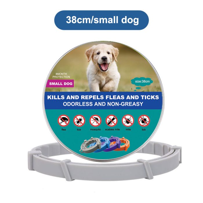 Anti Flea And Tick Collar-gray small dog