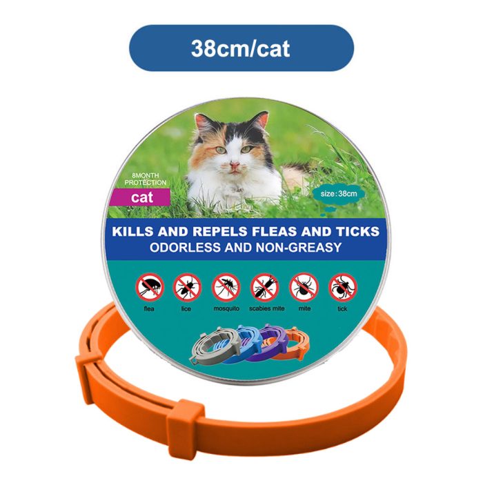 Anti Flea And Tick Collar-orange cat