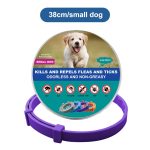 Anti Flea And Tick Collar-purple small dog